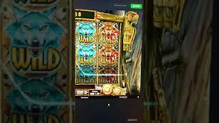 SELECTOR Casino VIP CLAB