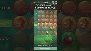 Тактика, гарантирующая результат: Apple of Fortune на 1xbet