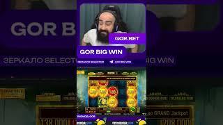 Х219 в слоте Mighty Wild Panther на канале GorBigWin #bigwin #casino #wazdan