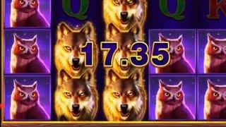 Поднимаем бабки на 1xbet / Заносы казино
