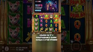 еще немножечко кошечки прикормили  #промокод #slot #casino #buster #zubarefff #jackpot