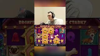Заносы недели в Dog House игрок Нави словил заносище #казино #занос #слоты #shorts