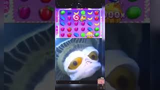 Подписывайтесь ! Стримы и посиделки каждый день ! #shorts