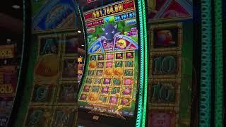 Hue Huff N Puff Jackpot Win at WinStar Casino #casino #jackpot #gambling #slots #slot