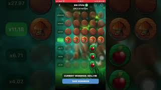 1x bet apple of fortune 27X 