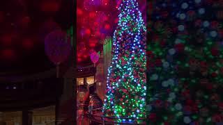 Christmas Tree at Crown Casino #cristmastree #crowncasino #shorts