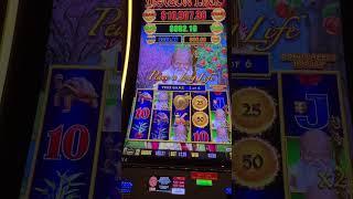 1 hour at the casino #slot #casinoshorts #casino #gamble #casinolife o
