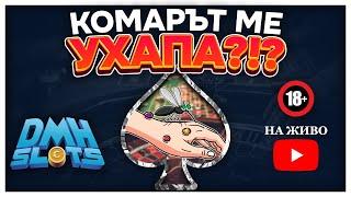 НА ЖИВО 