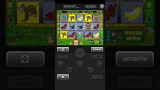Выиграл +34700 руб. в игровой автомат Crazy Monkey (Крези Манки) | Занос в слоты Обезьянки #казино
