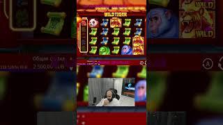 Лучшие выигрыши 