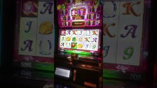 МАКСБЕТ И ПОЛНЫЙ РАЗНОС: РЕАЛЬНЫЙ КЭШАУТ ПРЯМО СЕЙЧАС! #SHORTS #КАЗИНО #ЗАНОС #ИРЛ #LIVE #КЭШАУТ