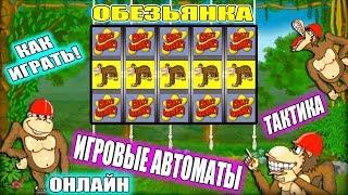 Выигрыш в казино Вулкан. Как я обыграл игровой автомат Crazy Monkey (Обезьянка)