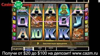 Счастливые моменты игры в казино Голдфишка.
