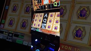 WO IST DIE FLIEGENKLATSCHE! Book of Ra Freispiele #casino #onlinespiel #slot #bestesspiel #jackpot
