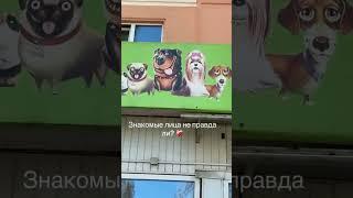 Знакомые лица #казино #слоты #покер #фортуна #бонусы #vipказино