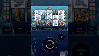 Занос в Dolphins Pearl игровые автоматы Казино Вулкан