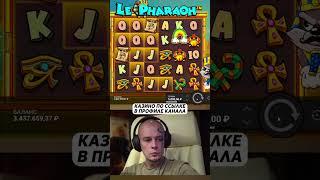 Витус поймал красивый спин в Le Pharaoh #витус #казино