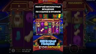 Супер занос в The Dog House #заносы #zanos #заносынедели #казинострим #doghouse #casino #занос
