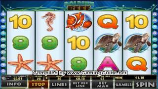 Europa Casino Dolphin Reef Slots