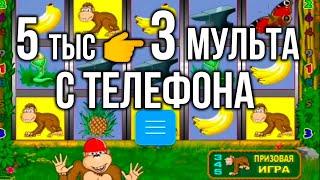 5 тыс 