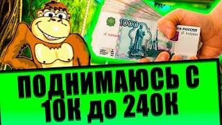 Мартышка Отдала ВСЕ Бабки в казино вулкан 