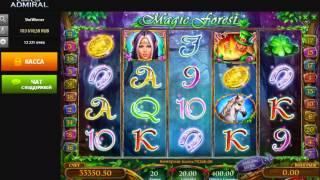 слот Magic forest большая ставка большой выигрыш