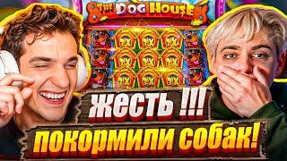 ЖЕСТЬ +100.000 $, ПОКОРМИЛИ СОБАК !!! / ЭВЕЛОН х МОКРИВСКИЙ ИГРАЕТ В КАЗИНО / ЛУЧШИЕ ЗАНОСЫ ЗА СТИМ