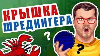 Как выиграть в Вулкане? Игровые автоматы онлайн. Выигрыш в казино ВУЛКАН. ЭДИК ИГРАЕТ В ПРОБКИ ВИДЕО
