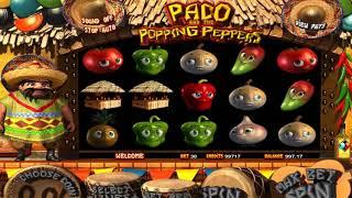 Новогодние бонусы в казино Зигзаг и Арго - Casino-Bazar