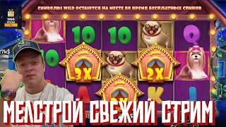 МЕЛСТРОЙ СТРИМ в онлайн КАЗИНО