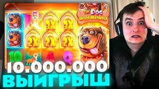 ЗЛОЙ ПОЙМАЛ МАКСИМАЛЬНЫЙ ВЫИГРЫШ В THE DOG HOUSE?! | ЛУЧШИЕ МОМЕНТЫ ЗЛОГО №461 | Заносы Недели