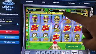 Самый большой выигрыш в  слот Crazy Monkey.  Казино Адмирал 888