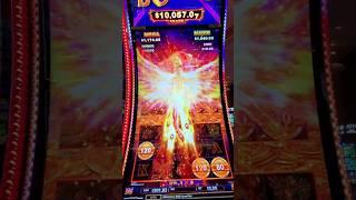 ALL LEVELS ACHIEVED! Epic Wu Jin Pen Phoenix Slot Play! #shorts #WuJinPenPhoenix #AzSlotPlay