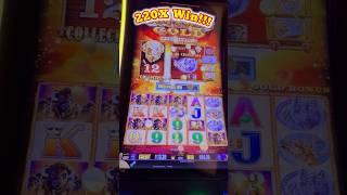 HUGE Multiplier WIN On The Buffalo Gold Slot Machine!