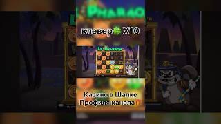 Поймал клевер 10x