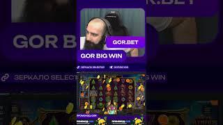 X219 в слоте Beer Bonanza на канале GorBigWin #slots #casino #bigwin