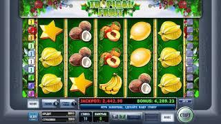 Tropical Fruit - игры Чемпион казино || chcgreen.info