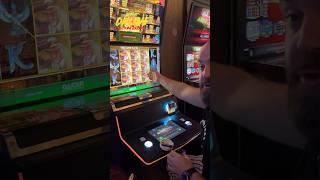 Как поймать занос в Book of Ra #хозяинказино #casino #slot
