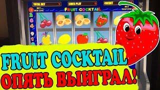 Дима опять выиграл в казино Вулкан! Клубнички отдали последние деньги!