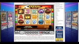 Игровой автомат без регистрации Safari Heat от ruscasinos.com