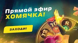 ПРЯМОЙ ЭФИР В ОНЛАЙН-КАЗИНО | HOMYACHOK В MELBET CASINO