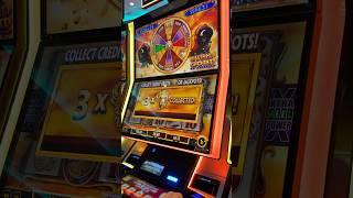 SAD BUFFALO GOLD BONUS 