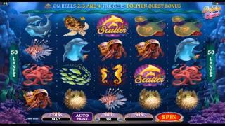 Азартные Игры - Слот Игры Dolphin Quest от Голдфишка Онлайн Казино