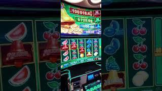 #viva casino #casino #egt #bell #link #jackpot