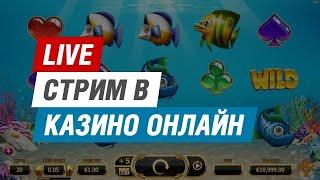 Стрим казино онлайн  27.02.2021