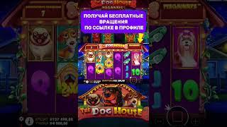 ЗАНОС на 300К в The Dog House #заносы #zanos #заносынедели #казинострим #doghouse #casino #занос