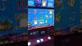 Dolphins Pearl Casino 10 Euro Einsatz