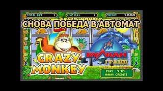 Казино ВУЛКАН как играть Методика выигрыша в игровой автомат Crazy Monkey Обезьянки