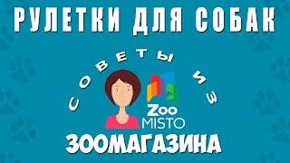 Рулетка для выгула собак | Как правильно выбрать рулетку для собак | Советы из зоомагазина