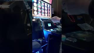 Admiral club dva belutka protiv uroka Two white stones against spells casino Admiral